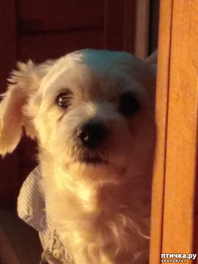 ���� 2: �����, ���� �������.