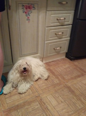 ����: � �������� �� �������������!