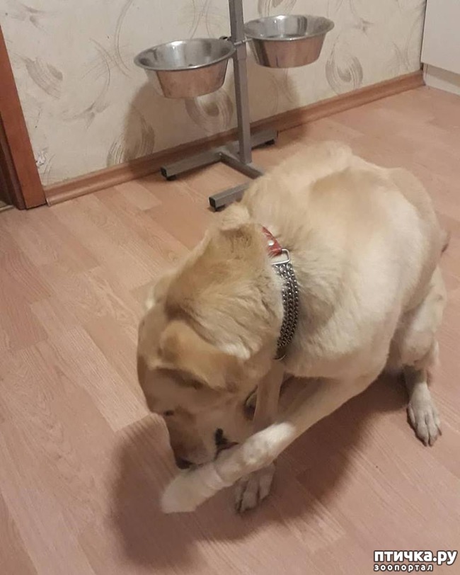 ���� 2: �����. ��������.