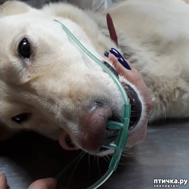 ���� 3: �����. ��������.