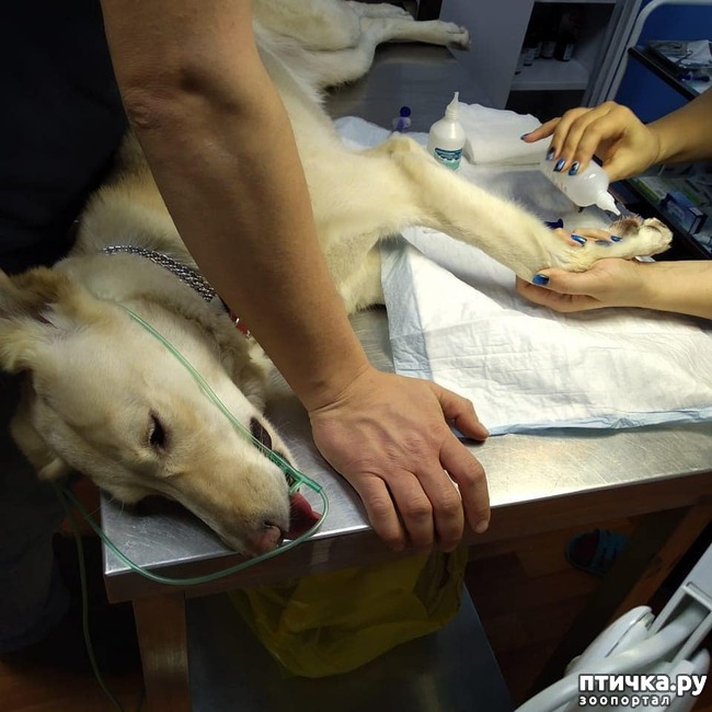 ���� 4: �����. ��������.