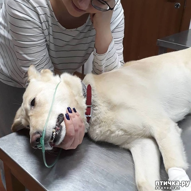 ���� 5: �����. ��������.