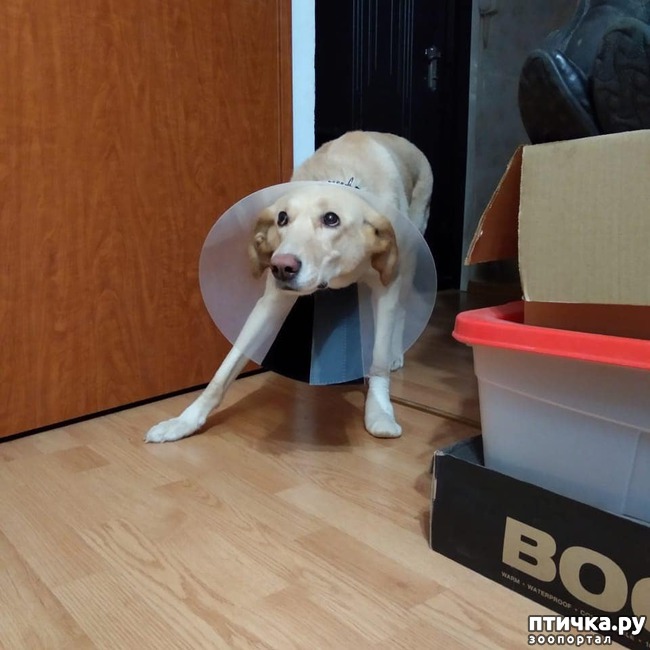 ���� 6: �����. ��������.