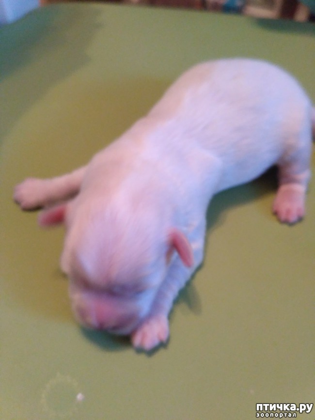 ���� 2: � �������� �� �������������!