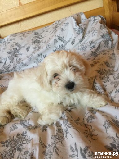 ���� 3: � �������� �� �������������!