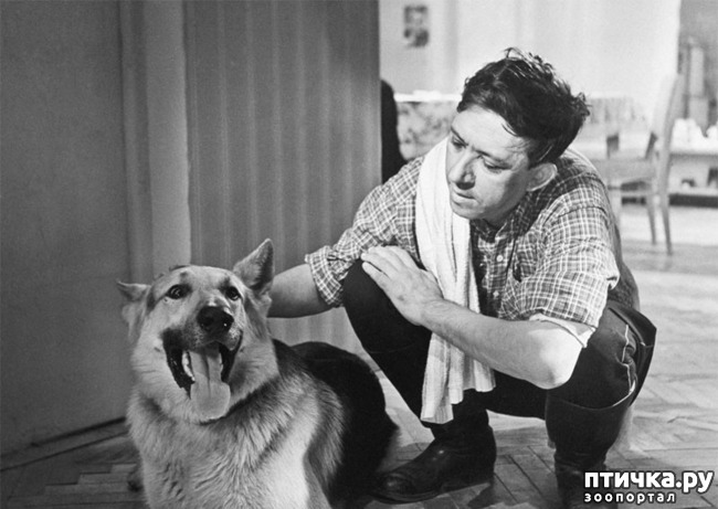 ���� 2: ��� ���� ������� � ��� ���� ����������� �� ������� ������ ��� ���, ������!�