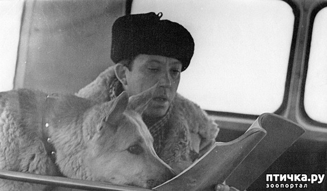 ���� 3: ��� ���� ������� � ��� ���� ����������� �� ������� ������ ��� ���, ������!�