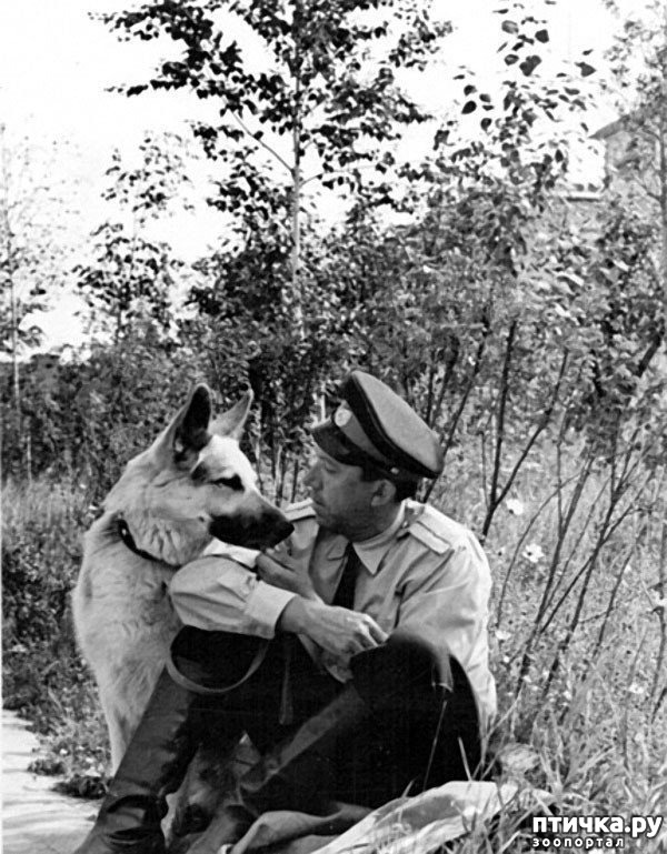 ���� 5: ��� ���� ������� � ��� ���� ����������� �� ������� ������ ��� ���, ������!�