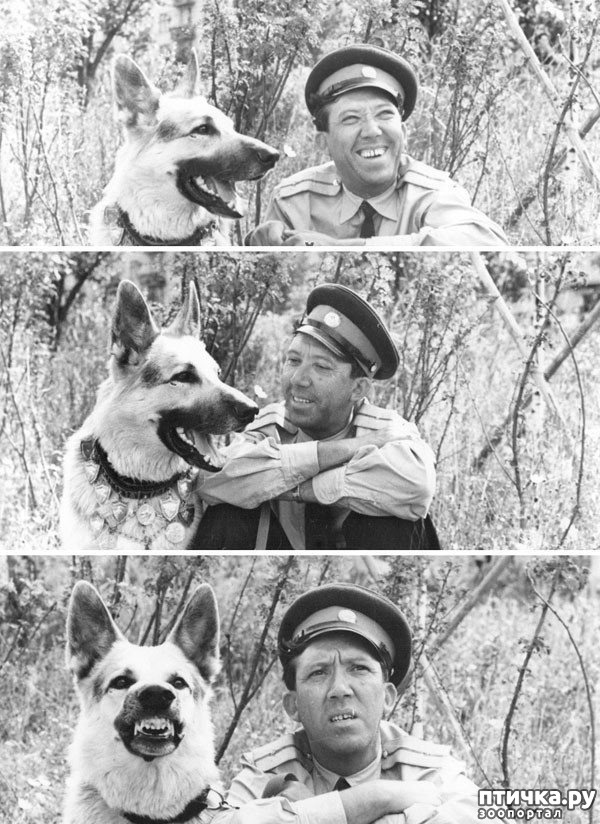 ���� 6: ��� ���� ������� � ��� ���� ����������� �� ������� ������ ��� ���, ������!�