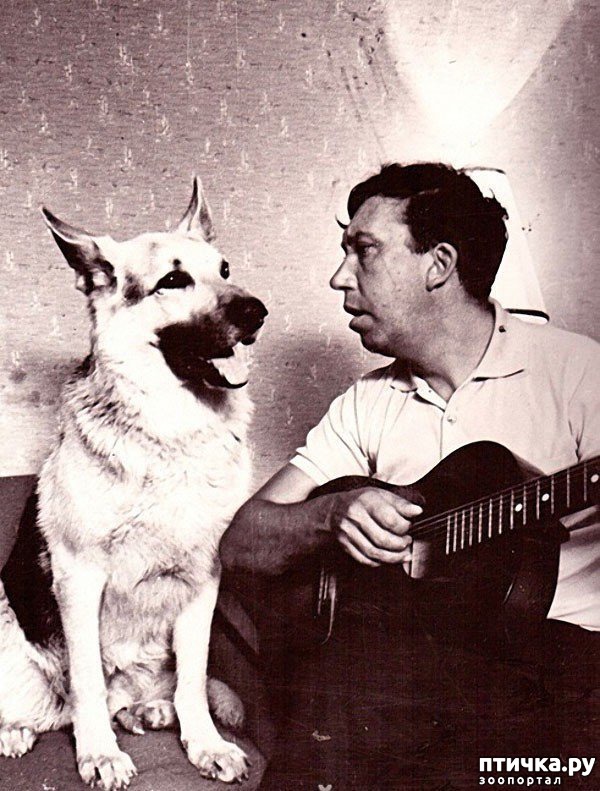 ���� 7: ��� ���� ������� � ��� ���� ����������� �� ������� ������ ��� ���, ������!�