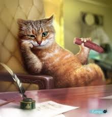 фотография: Дневник кота Василия фото: Дневник кота Василия