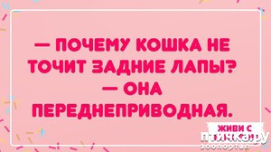 фотография: О кошках с юмором фото: О кошках с юмором