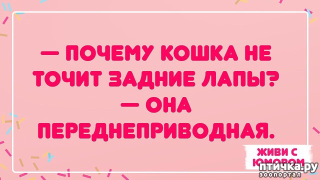 ���� 1: � ������ � ������