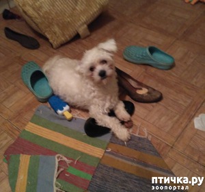 фотография: Хитрый Кей фото: Хитрый Кей