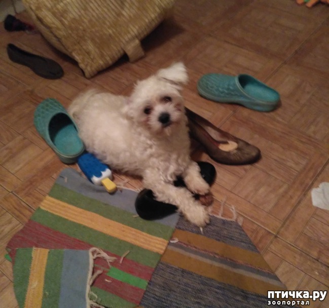 ���� 1: ������ ���