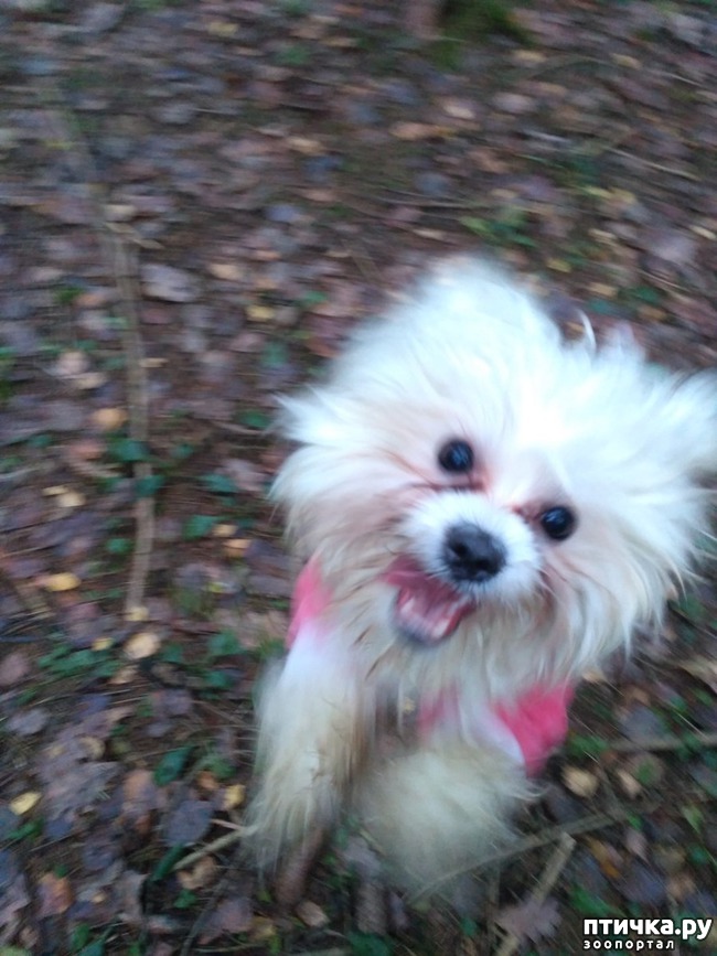 ���� 2: ������ ���