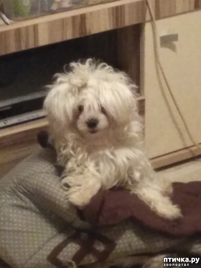 ���� 3: ������ ���