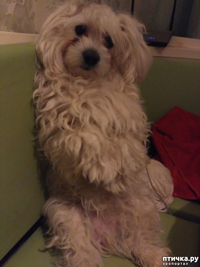 ���� 4: ������ ���