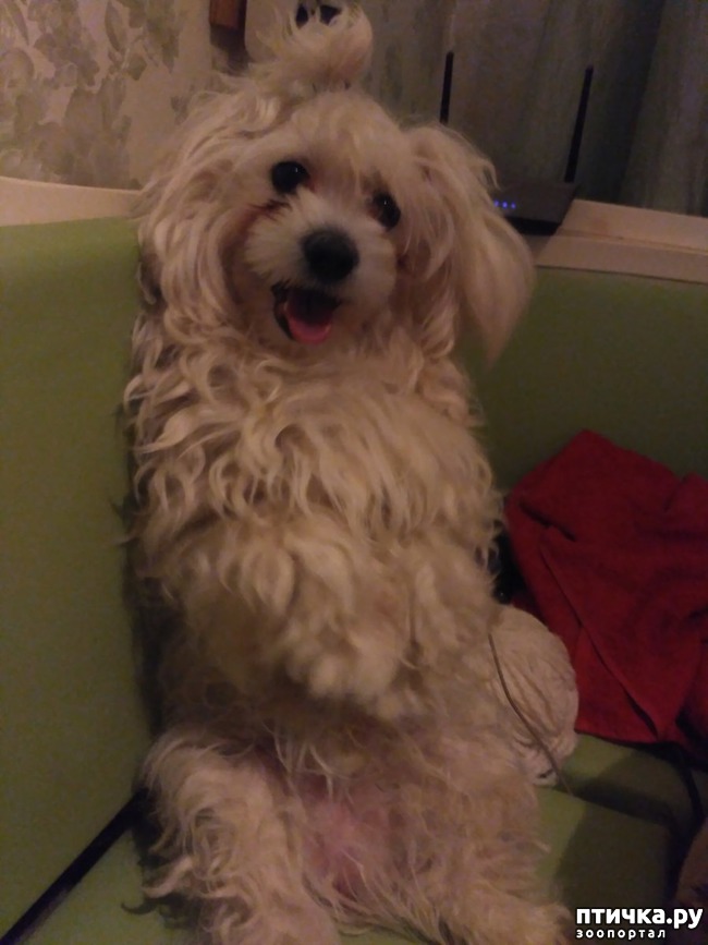 ���� 5: ������ ���