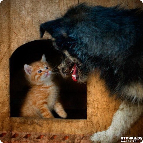 ���� 1: ��� ����� � ������� ����� ������))