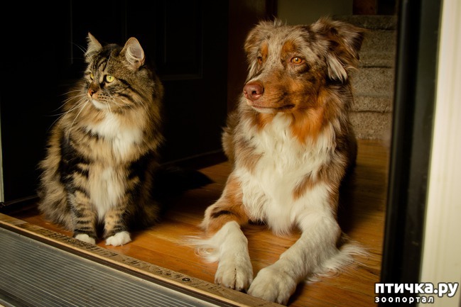 ���� 3: ��� ����� � ������� ����� ������))