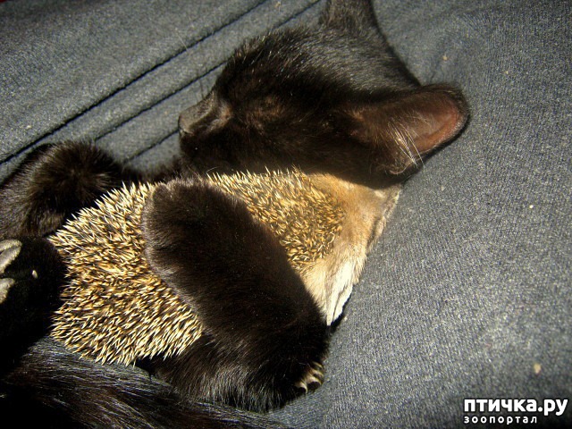 ���� 1: � ���� � ���������