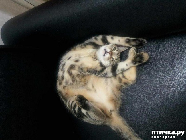 ���� 3: 15 ������ ����� ���������� ����