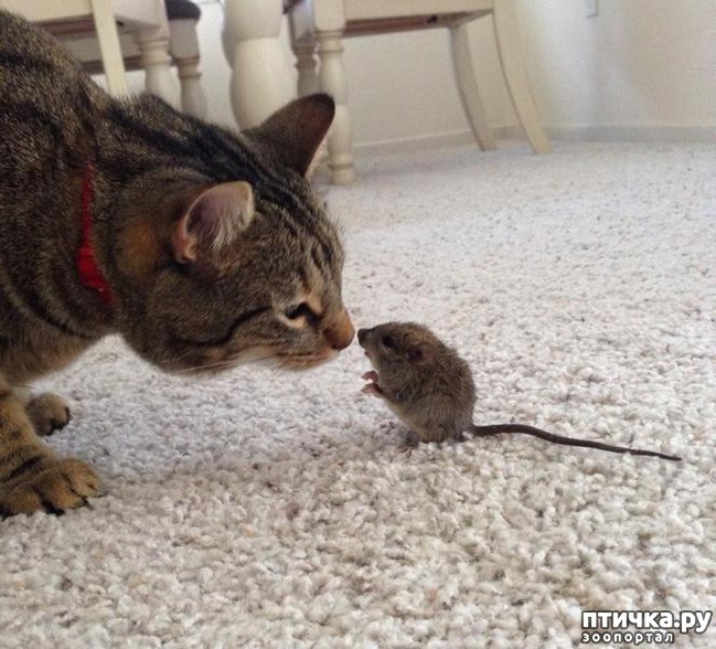 ���� 7: 15 ������ ����� ���������� ����