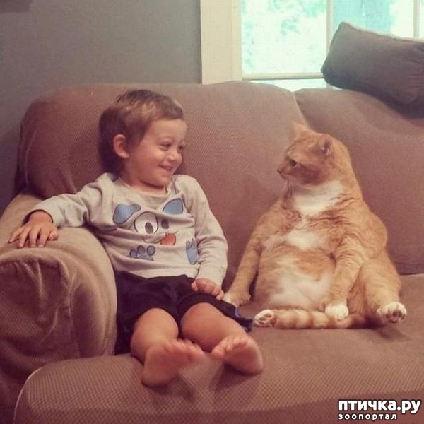 ���� 8: 15 ������ ����� ���������� ����