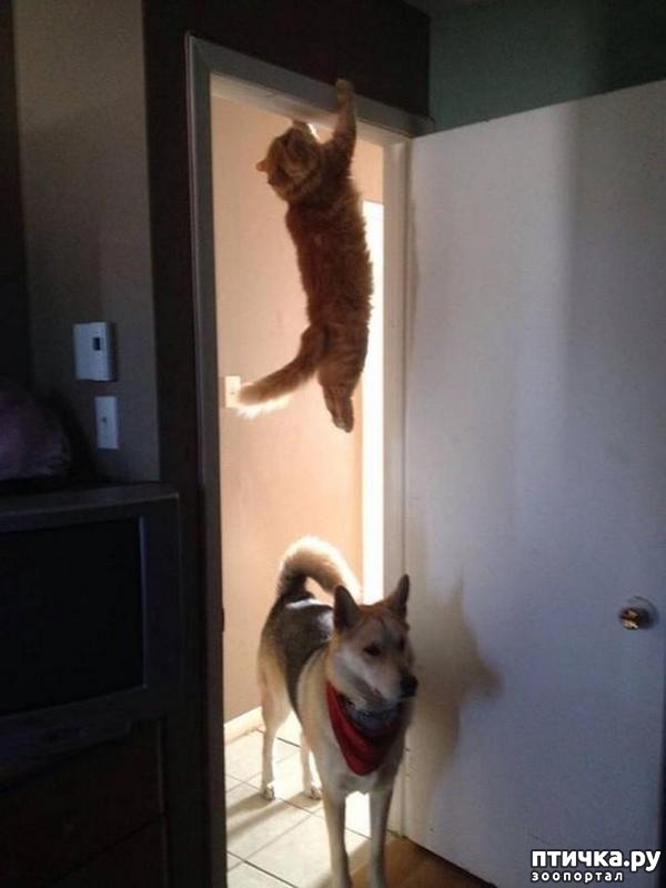 ���� 10: 15 ������ ����� ���������� ����