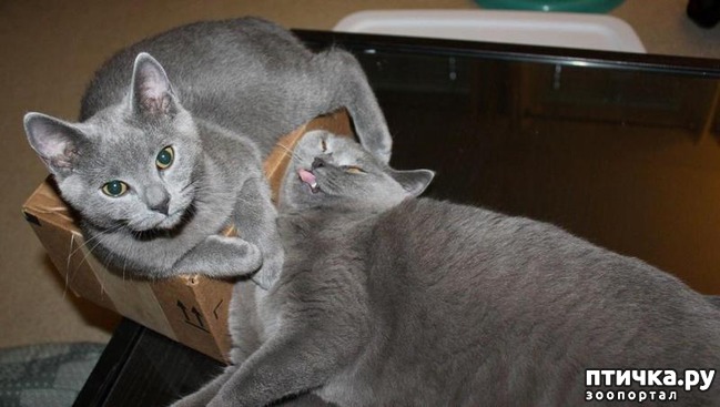 ���� 12: 15 ������ ����� ���������� ����