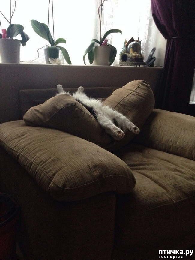 ���� 14: 15 ������ ����� ���������� ����