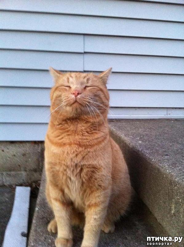 ���� 15: 15 ������ ����� ���������� ����