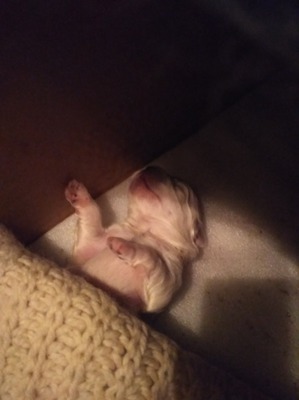 ����: ��������� ��������