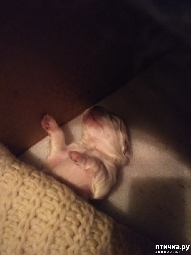 ���� 1: ��������� ��������