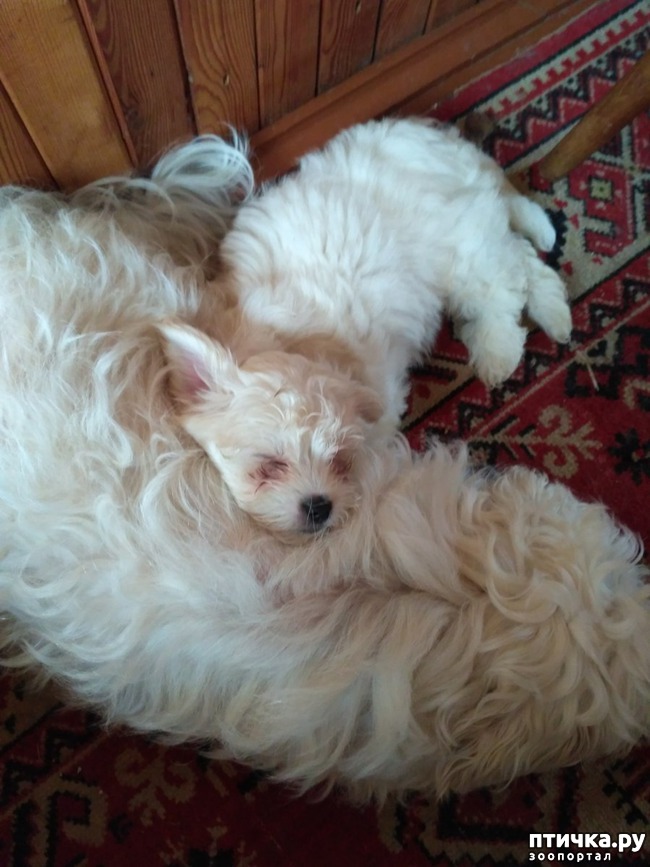 ���� 2: ��������� ��������