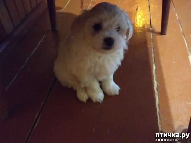 ���� 3: ��������� ��������