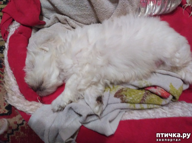 ���� 4: ��������� ��������