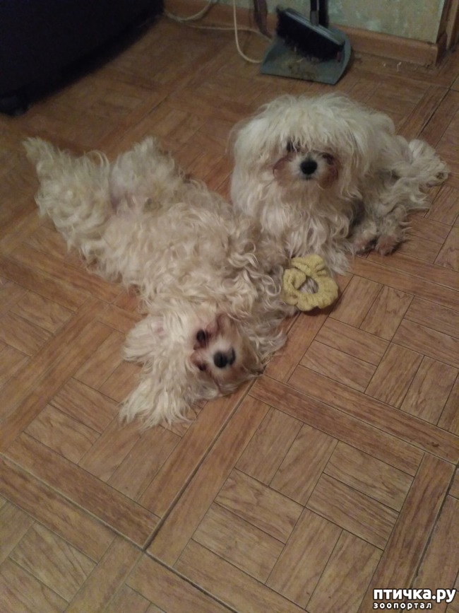 ���� 5: ��������� ��������