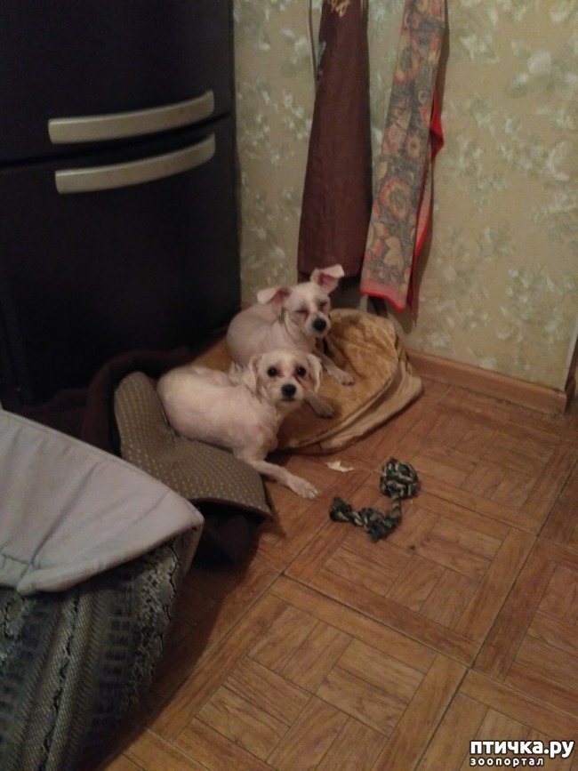 ���� 6: ��������� ��������