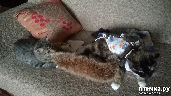 ���� 2: ������� ��� ����� ����!!!