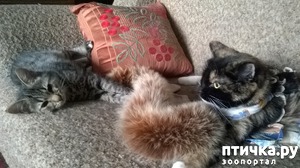 ����: ������� ��� ����� ����!!!