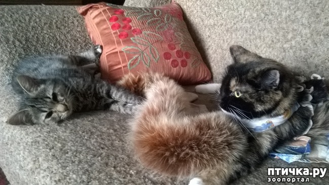 ���� 1: ������� ��� ����� ����!!!