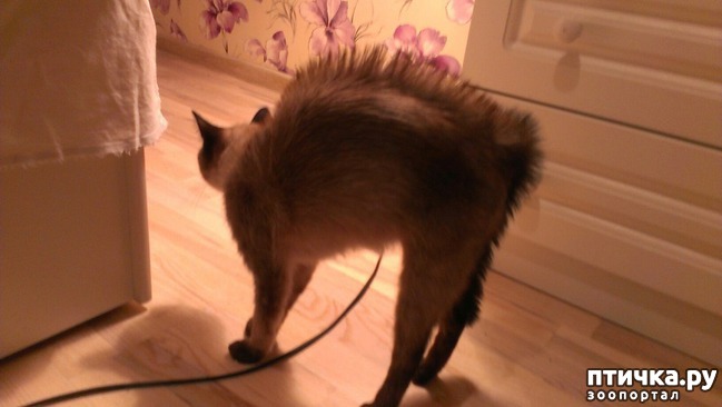 ���� 1: ������� �����. (�������� ����)