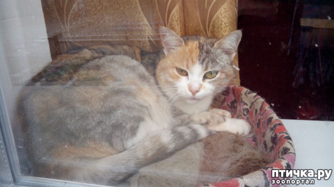 ���� 1: �����, ������� �������