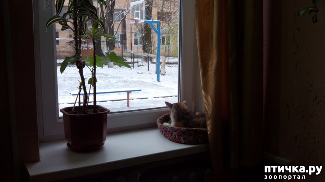 ���� 2: �����, ������� �������