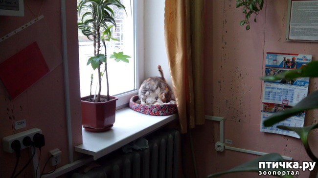 ���� 3: �����, ������� �������