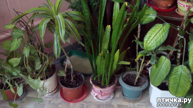 ���� 4: �����, ������� �������