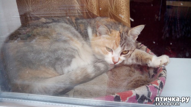 ���� 5: �����, ������� �������