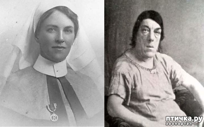 ���� 1: � �� ����, ��� ���������� ���� ����